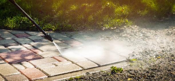 Best Solar Panel Cleaning  in Alexandria, IN